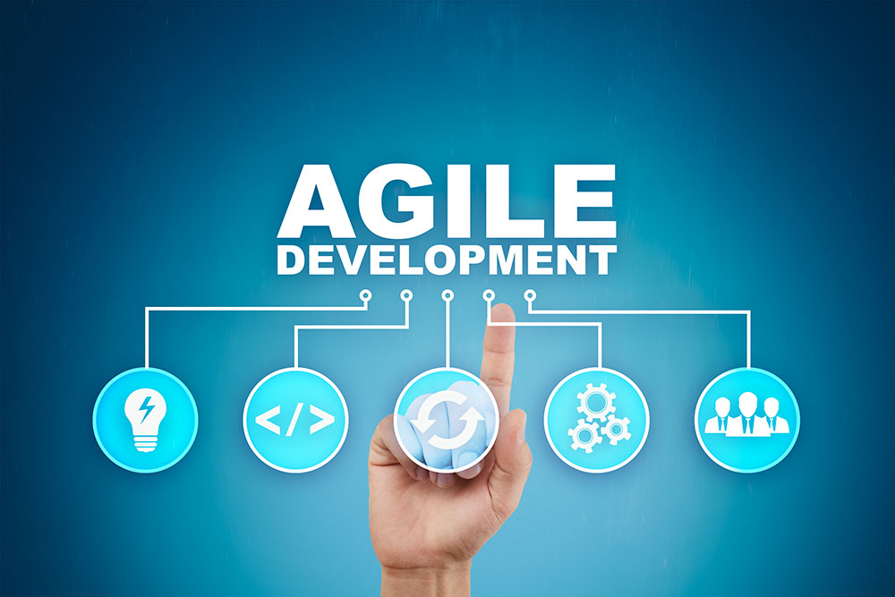 A brief review of the Agile in project management